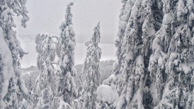 Ullbergsträsk därnere