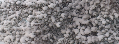 Snö