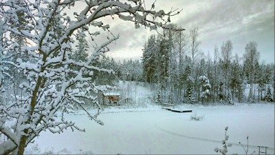 Tjärn